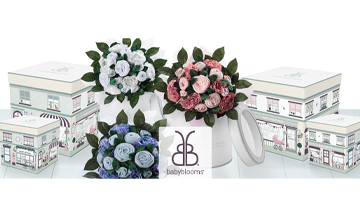 Babyblooms appoints Dee Carpenter